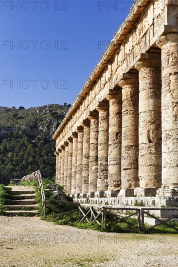 Elymian Doric Temple, Ruins, Ancient City of Segesta, Archaeological Site on Monte Barbaro, Calatafimi, Trapani Province, Northwest, Sicily, Southern Italy, Italy