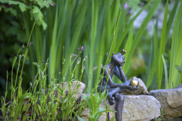 Garden sculpture of a frog frog prince surrounded by green plants and stones. Lower Saxony, Germany