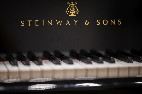 Lettering and keyboard, Steinway & Sons grand piano, Stuttgart, Baden-Württemberg, Germany