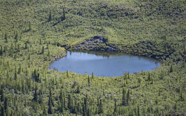 Lake and taiga landscape on the edge of the glacial moraine of the Matanuska Glacier, Lion's Head, Chugach Mountains, Alaska, USA