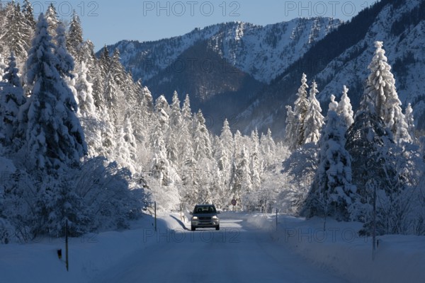 Winter landscape, spruces, mountains, road, car, snow, Alpine foothills, Oberbayern, Germany/Winterscenery, road, car, mountains, snow, Upper Bavaria, Germany