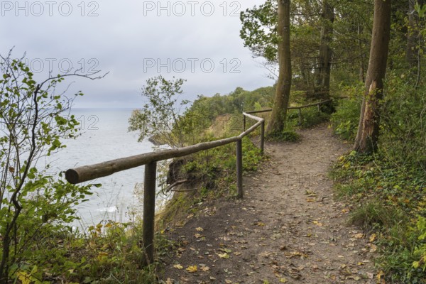 Trail above the cliffs on Nordperd, Hochuferweg, view of the sea from above, nature reserve, Baltic resort Göhren, Baltic Sea, Rügen island, Mecklenburg-Western Pomerania, Germany