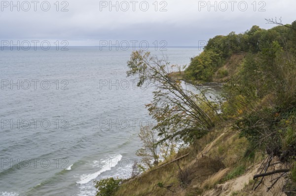 Cliff coast on Nordperd, nature reserve, Baltic resort Göhren, Baltic Sea, Rügen island, Mecklenburg-Western Pomerania, Germany
