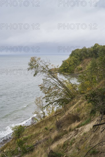 Cliff coast on Nordperd, nature reserve, Baltic resort Göhren, Baltic Sea, Rügen island, Mecklenburg-Western Pomerania, Germany