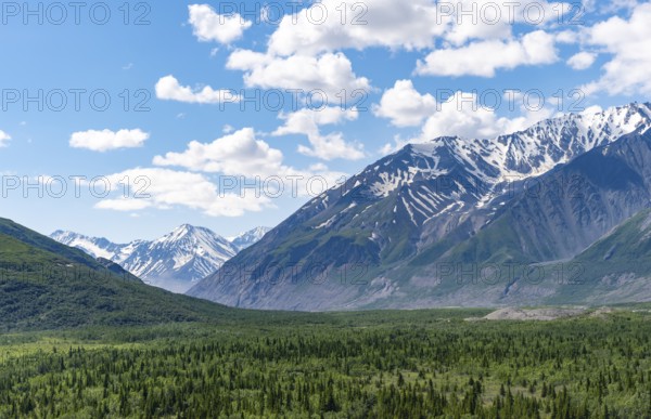 Mountain peak with snow and taiga, Alaska Range, Richardson Highway, Alaska, USA