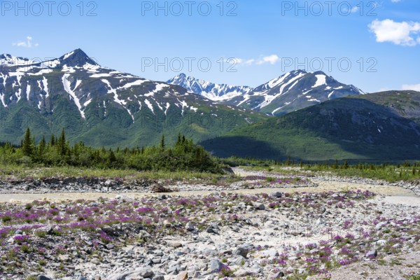 Miller Creek River at Castner Glacier, Delta Range, Alaska Range, Richardson Highway, Alaska, USA