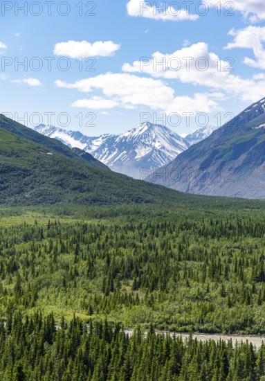 Mountain peak with snow and taiga, Alaska Range, Richardson Highway, Alaska, USA