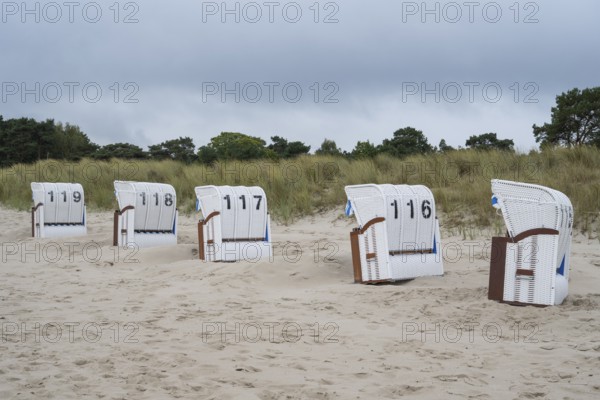 Beach chairs set up in a row on sandy beach, view from behind, Baltic resort Göhren, Baltic Sea, Rügen island, Mecklenburg-Western Pomerania, Germany