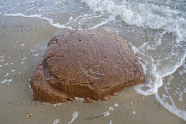 Foundling on the coast, washed by water, Baltic Sea, Rügen Island, Mecklenburg-Western Pomerania, Germany