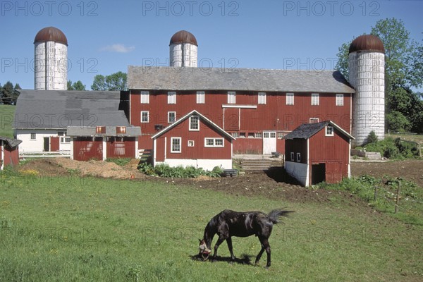 Dairy farm with silo towers, Marksborow, New Jesey, USA