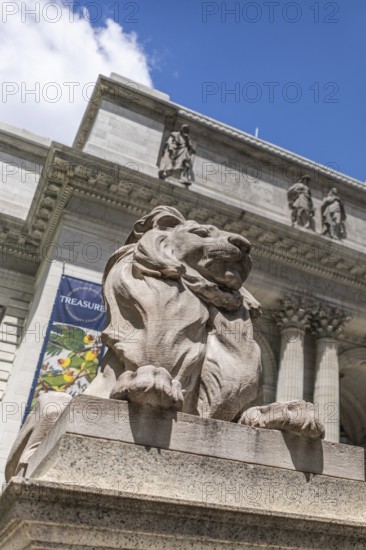Fortitude Lion, New York Public Library, New York, USA