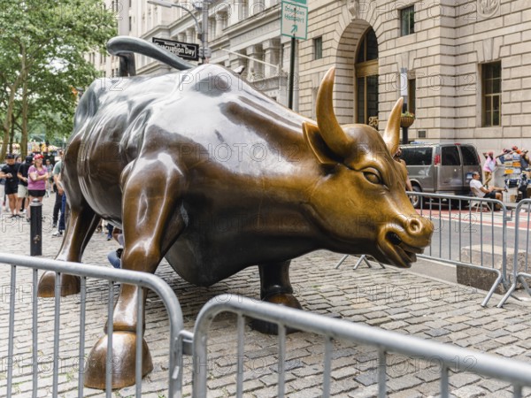 Charging Bull, Bowling Green, New York, USA