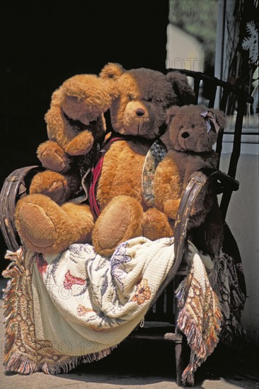 Teddy bears in a toy store, New York City, USA