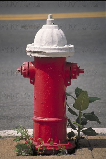 Red white hydrant, New York City, USA