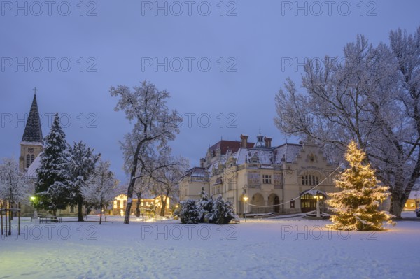 Winter in the theatre park with St. Mary's Church and Christmas tree, Berndorf, Lower Austria, Austria