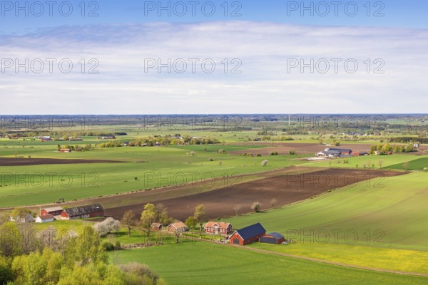 View of a cultivated plain landscape with farms and red barns a sunny spring day in th e countryside with a view to the horizon, Falköping, Sweden