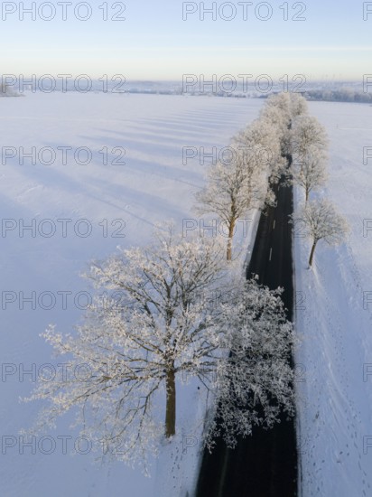 Snowy trees along a road, shadows falling over the winter landscape, aerial view, winter, hoarfrost, between Adenstedt and Groß Bülten, municipality of Ilsede, district of Peine, Lower Saxony, Germany