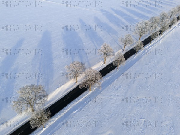 View of a snowy landscape with shady road and trees along the way, aerial view, winter, hoarfrost, between Adenstedt and Groß Bülten, municipality of Ilsede, district of Peine, Lower Saxony, Germany