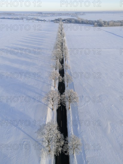 Straight road with trees and long shade in a snowy winter landscape, aerial view, winter, hoarfrost, between Adenstedt and Groß Bülten, municipality of Ilsede, district of Peine, Lower Saxony, Germany