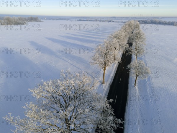 Snowy landscape with a tree-lined road and long shadows in sunlight, aerial view, winter, hoarfrost, between Adenstedt and Groß Bülten, municipality of Ilsede, district of Peine, Lower Saxony, Germany