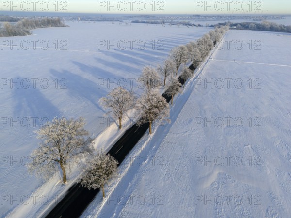 Landscape in winter with snow-covered fields and trees along a road, long shadows visible, aerial view, winter, hoarfrost, between Adenstedt and Groß Bülten, municipality of Ilsede, district of Peine, Lower Saxony, Germany