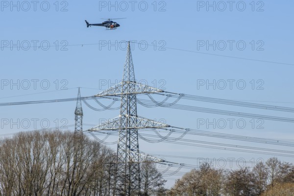 A helicopter flies over trees and power poles in a landscape during technical use, Lemförde, Lower Saxony, Germany