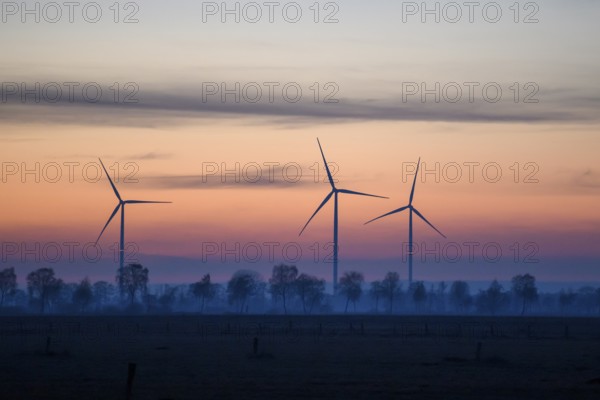 Three wind turbines at dusk with trees and a red blue sky, with trees as silhouettes, Hüde, Dümmer nature park Park, Lower Saxony, Germany
