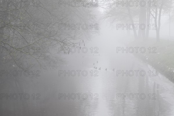 South-North Canal in fog, Emsland, Lower Saxony, Germany