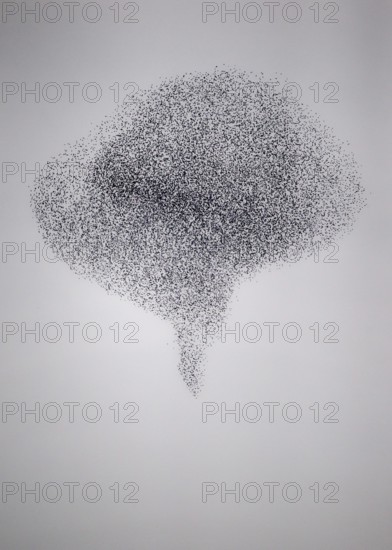 Starling (Sturnus vulgaris), huge flock in formation flight of a so-called murmuration in defence of a hunting peregrine falcon (Falco peregrinus), Rhineland-Palatinate, Germany