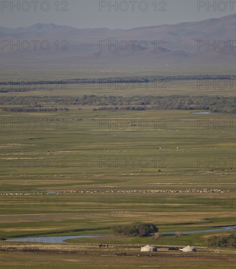 Yurts with large flock of sheep and horses in an extensive Mongolian steppe landscape with floodplain and mountains in the background, Bulgan, Mongolia