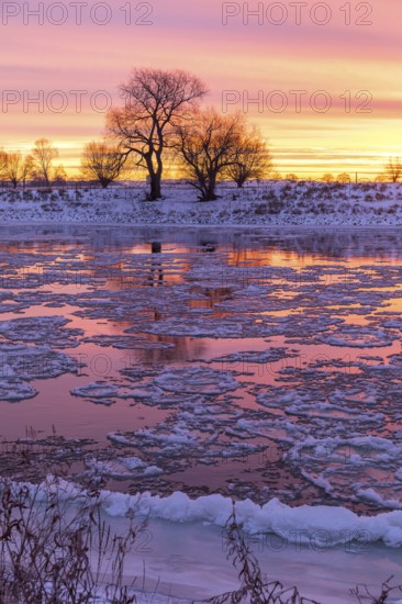 Cold winter morning on the Elbe with floating ice floes, snow and dawn at sunrise, Kötzschenbroda, Radebeul, Saxony, Germany