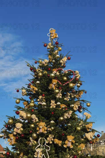 Christmas market, Old Town, Colmar, Haut-Rhin, Alsace, France
