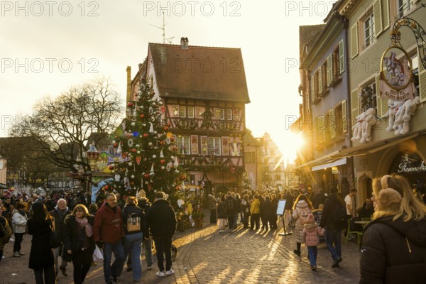Christmas market, sunset, old town, Colmar, Haut-Rhin, Alsace, France