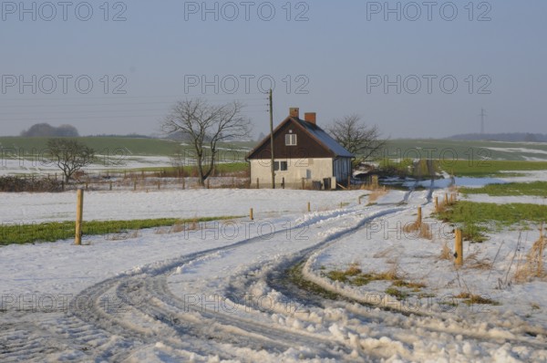 Winter with snow and green fields in Skåne county, South Sweden, Scandinavia