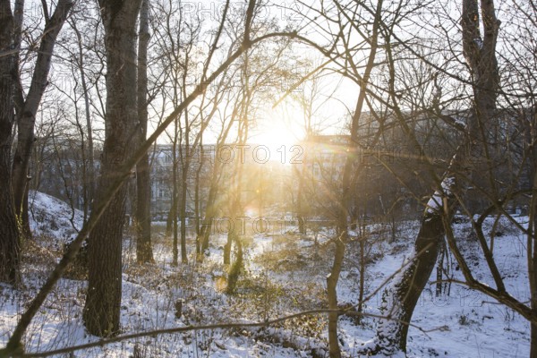The evening sun shines through residential buildings towards Volkspark Friedrichshain on 07.01.2026