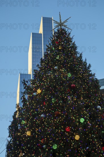 Detroit, Michigan - A decorated Christmas tree near rhe Hudson's Detroit development. The skyscraper, still under construction, will contain a luxury hotel and condominiums