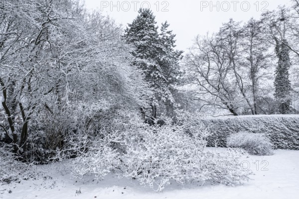 Winter garden landscape, Emsland, Lower Saxony, Germany