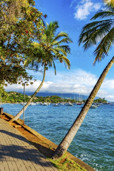 Boats anchored off the coast of Ilhabela on the north coast of Sao Paulo, Ilhabela, Sao Paulo, Brazil