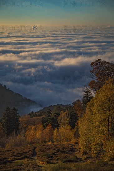 Aerial view, view from Königstuhl Heidelberg in evening light with Indian summer over autumnal fog landscape of low-hanging clouds and fog fields in inversion weather in the Upper Rhine plain, smoking chimneys sticking out of the fog, Heidelberg, Baden-Württemberg, Germany