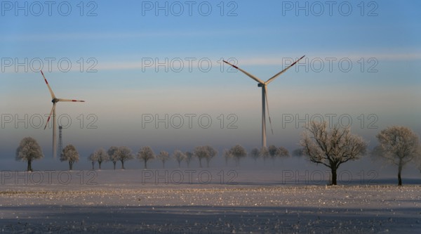 Wind turbines and snow-covered trees in a clear winter landscape, wind turbines between Solschen and Adenstedt, Ilsede, Peine district, Lower Saxony, Germany