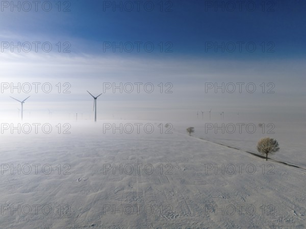 Wide snow-covered plain with wind turbines in fog under blue sky, aerial view, wind turbine and tree in snow in fog, between Bülten and Solschen, Ilsede, Peine district, Lower Saxony, Germany