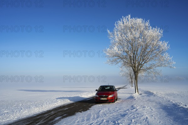 Red car parked next to a snow-covered tree on a lonely road under bright blue sky, Skoda Fabia and tree in snow with hoarfrost, fog in the background, between Bülten and Solschen, Ilsede, Peine district, Lower Saxony, Germany