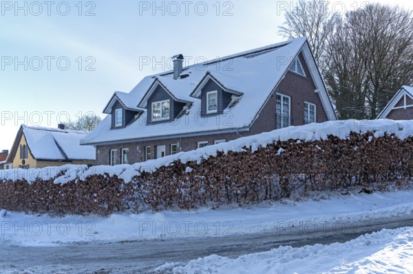 Snowy hedge, road, houses, winter, snow, Sieversen, Samtgemeinde Rosengarten, Lower Saxony, Germany