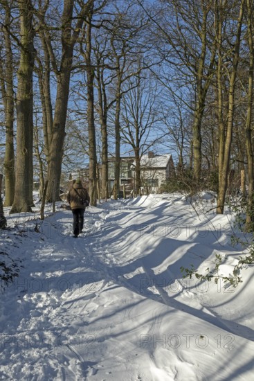 Man walking in snow, snowy path, trees, winter, Sieversen, Samtgemeinde Rosengarten, Lower Saxony, Germany