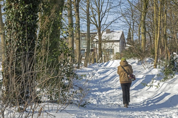 Man walking in snow, snowy path, trees, winter, Sieversen, Samtgemeinde Rosengarten, Lower Saxony, Germany