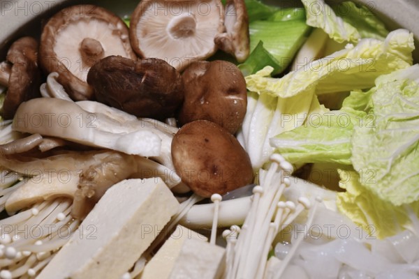 Japanese vegan nabe or nabemono soup dish with Chinese cabbage, tofu, enoki and shitake mushrooms and Shirataki noodles