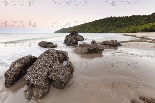 Scenic sunset view over the tropical coastline with calm ocean waves and golden light. Etty Bay Beach, Queensland, Australia