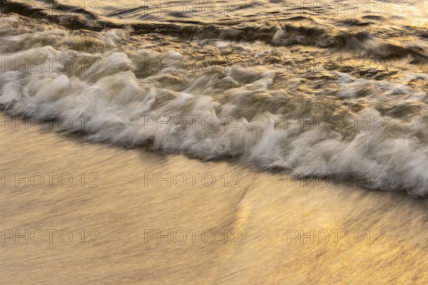 Waves at sunset on the west beach of Fischland-Darß-Zingst, Baltic Sea, Ahrenshoop, Mecklenburg-Western Pomerania, Germany