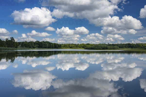 Cumulus clouds over Ahlhorn fish ponds, Ahlhorn, Lower Saxony, Germany