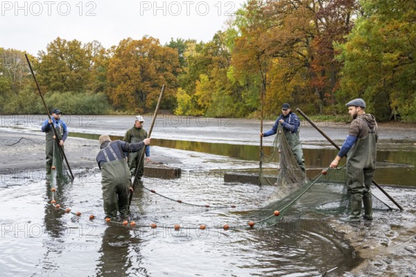 Fishing at Teichwirtschaft Ahlhorner Fischteiche, Ahlhorn, Lower Saxony, Germany